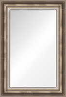 Зеркало в раме 54.7043.98.IQ — фото 1